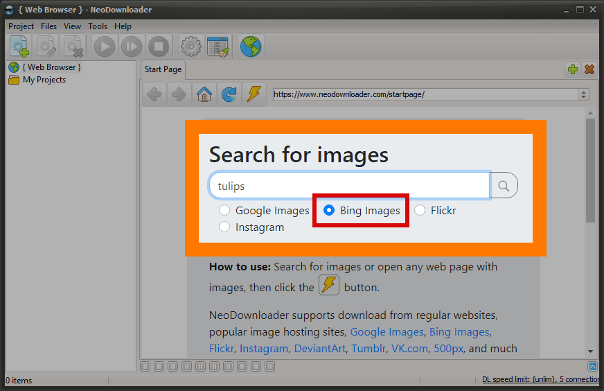 NeoDownloader search form with Bing Images selected